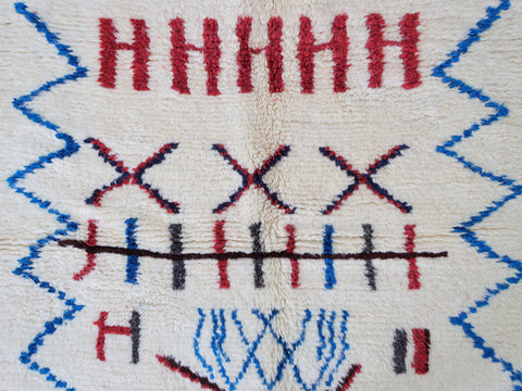 Taslilt  Moroccan Rug 4'9" x 7'9"